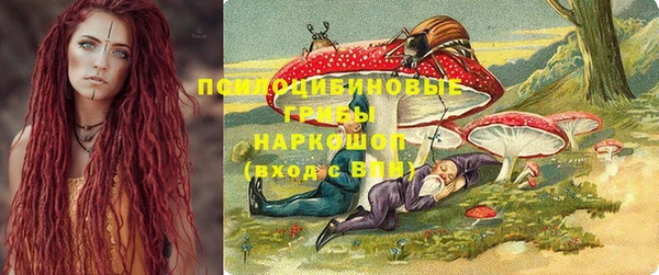 сатива Снежинск