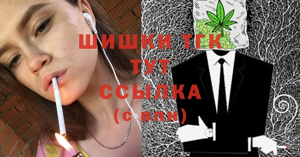 сатива Снежногорск
