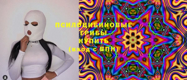 ПСИЛОЦИБИНОВЫЕ ГРИБЫ Семёнов
