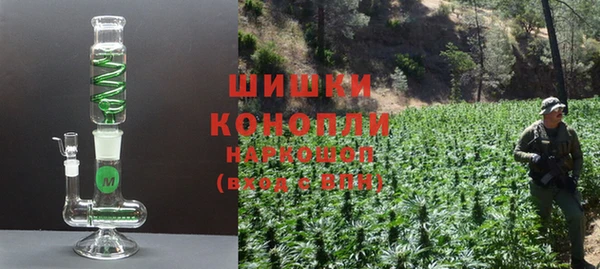 сатива Снежногорск