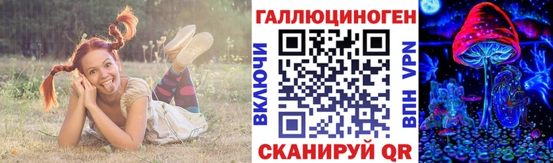 MEGA зеркало  купить  сайты  Шенкурск  Псилоцибиновые грибы Cubensis 