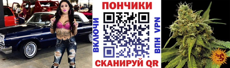 Бошки марихуана тримм  Шенкурск 